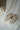 Moonstar - LITE PRIM CANVAS SHOE